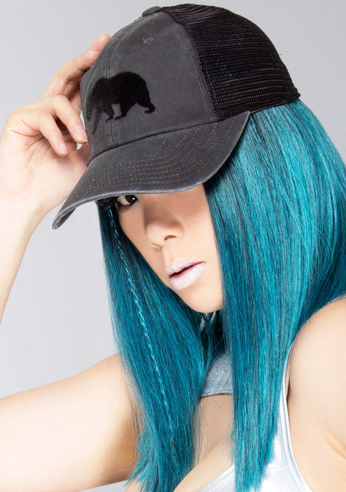 AMERICAN NEEDLE Cali Bear Raglan Hat