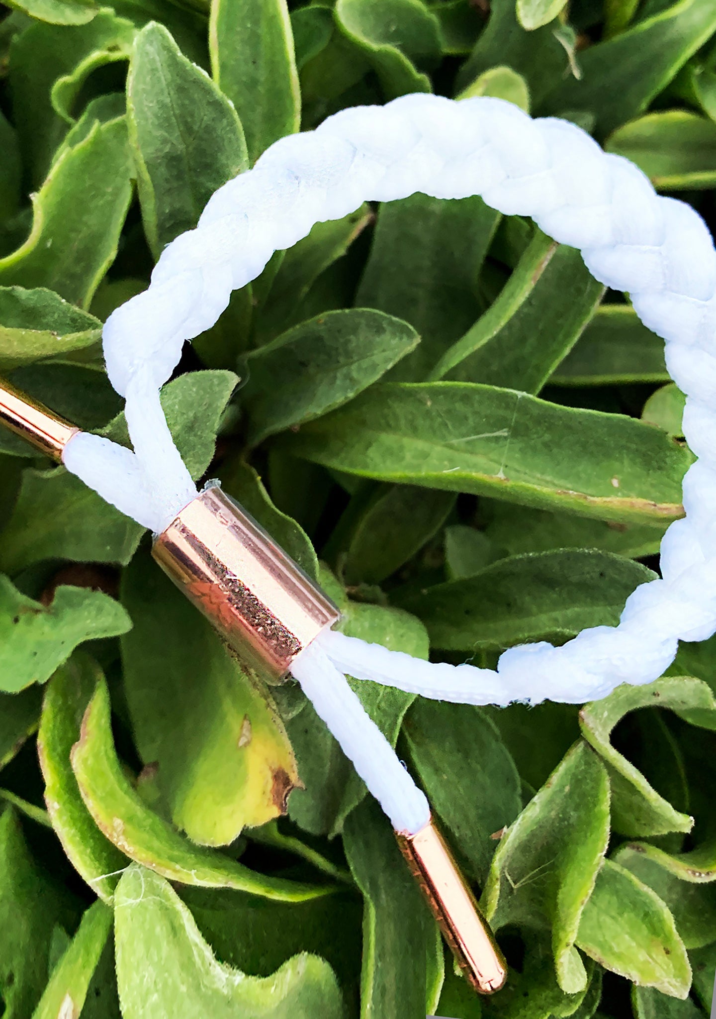  Kim Women's Classic Miniclat Bracelet In White/Rose Gold