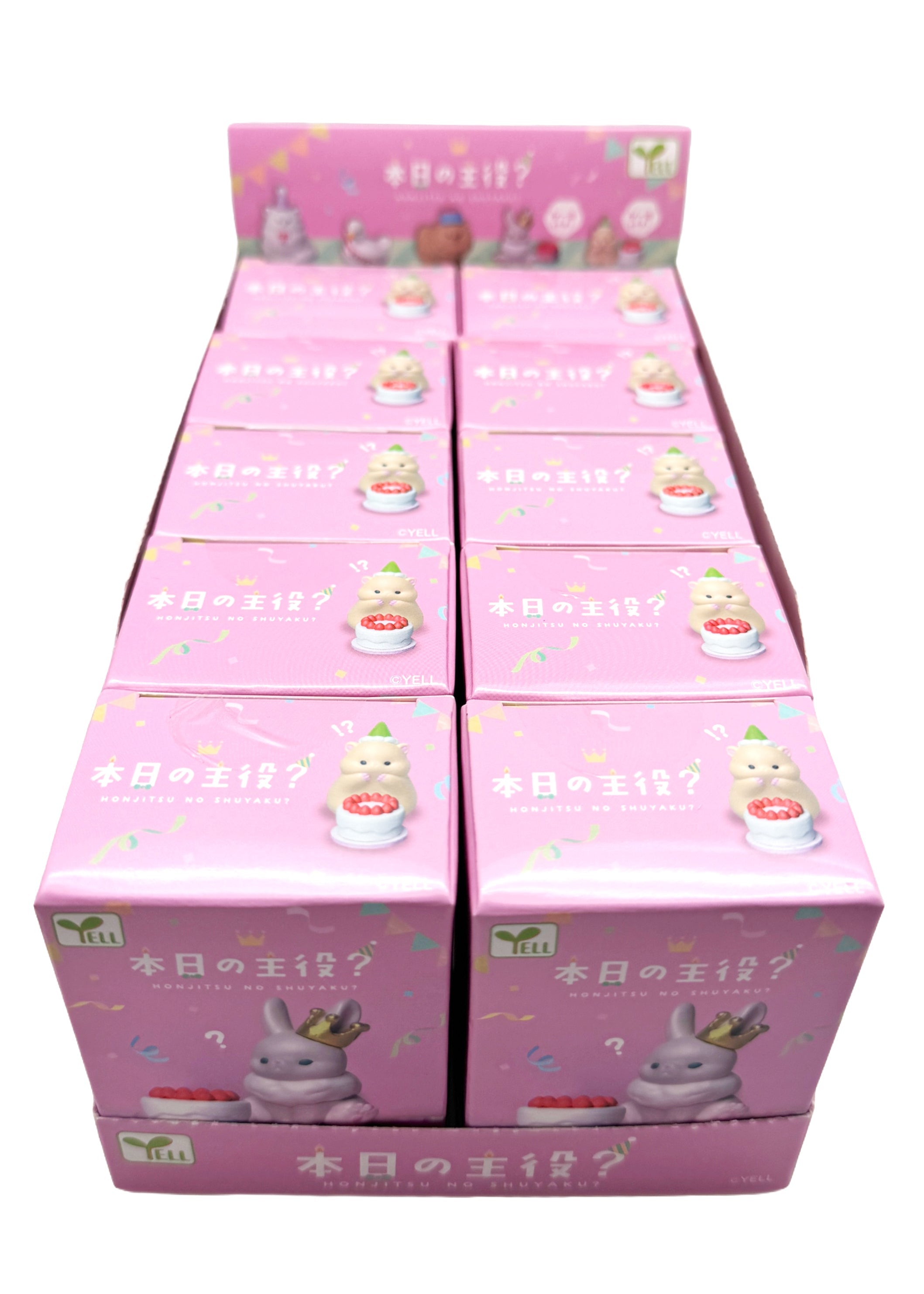  Today's Star Animal Birthday Figurine - 10pc Blind Box Set